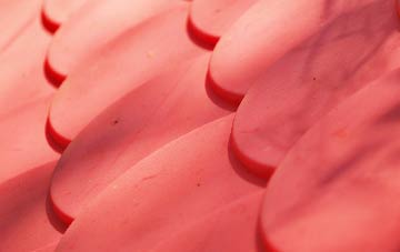 Littleport plastic roof costs