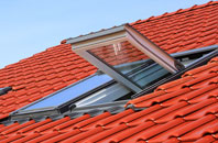 Littleport roof window